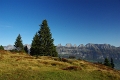 7 Gipfel Wanderung Flumserberg 'Heusee - Gross Gueslen 1833m' (13)